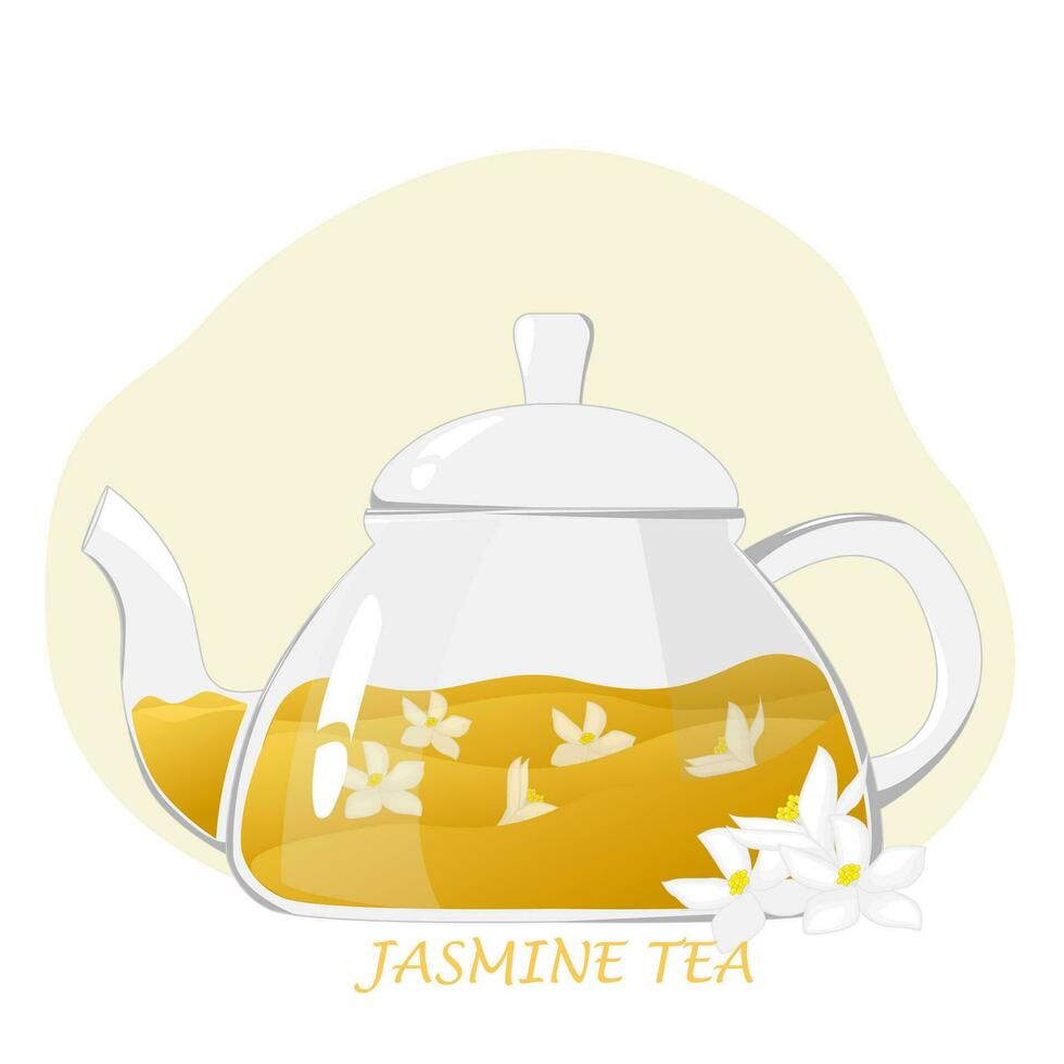Glass teapot with herbal tea.Transparent glass teapot with jasmine tea. Healthy drinks concept.Vector illustration for cafes, advertisements, banners vector