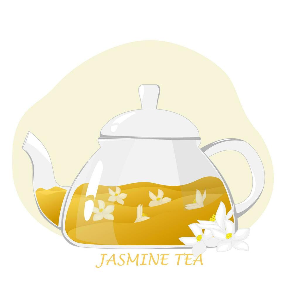 Glass teapot with herbal tea.Transparent glass teapot with jasmine tea. Healthy drinks concept.Vector illustration for cafes, advertisements, banners vector