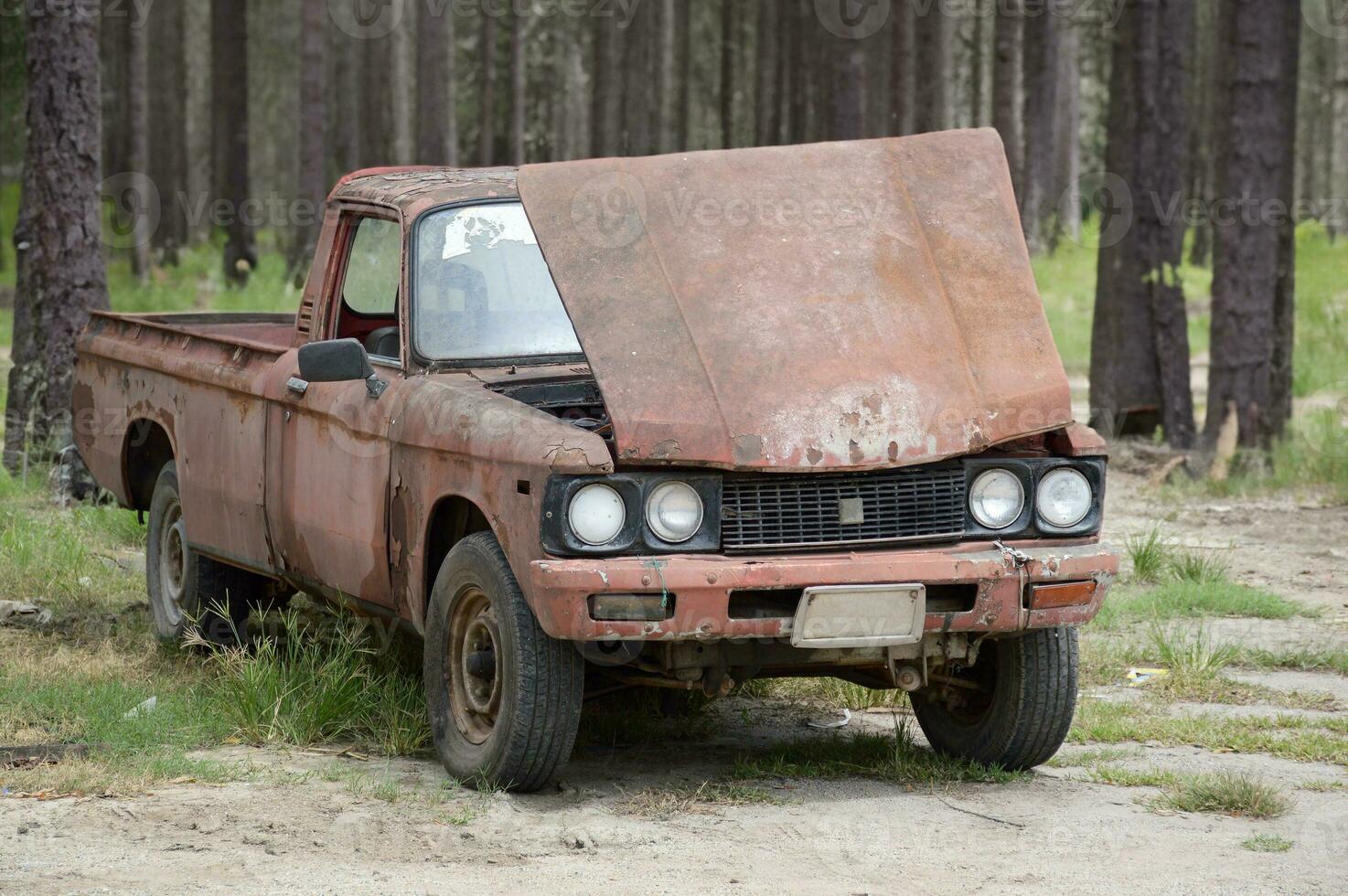old rusty truck stands on the ground in the forest in the summer photo