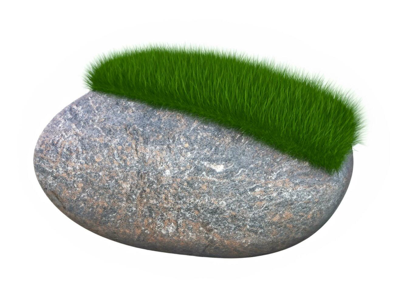 stone grass with moss isolated on white background 3d render photo