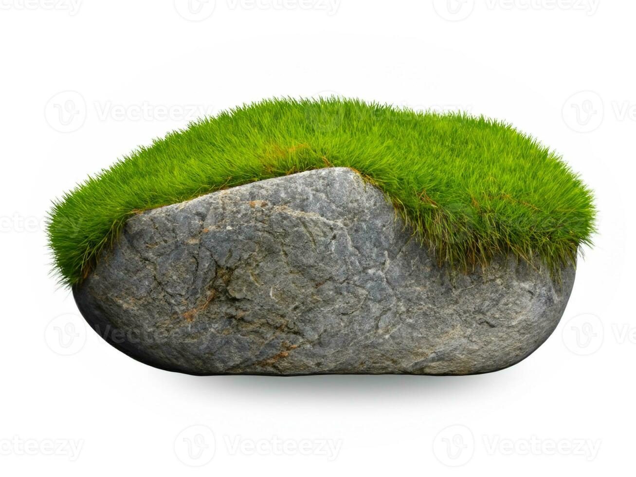 stone grass with moss isolated on white background 3d render photo