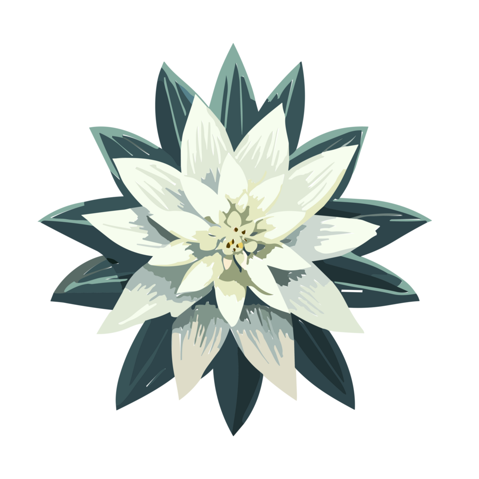 stella alpina fiore, stella alpina clipart. ai generativo png