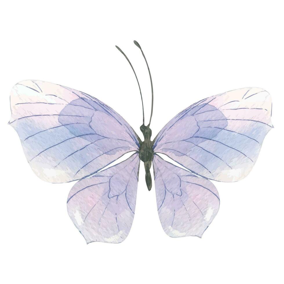 púrpura mariposa. dibujado a mano acuarela ilustración. aislado objeto en un blanco antecedentes para decoración y diseño. vector