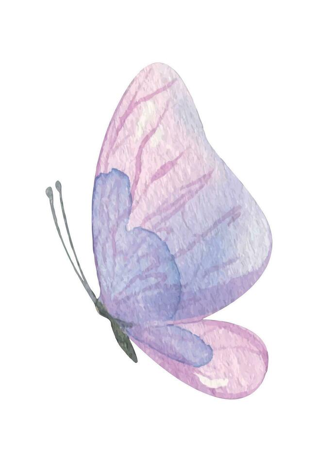 Purple butterfly. Hand-drawn watercolor illustration. Isolated object on a white background for decoration and design vector