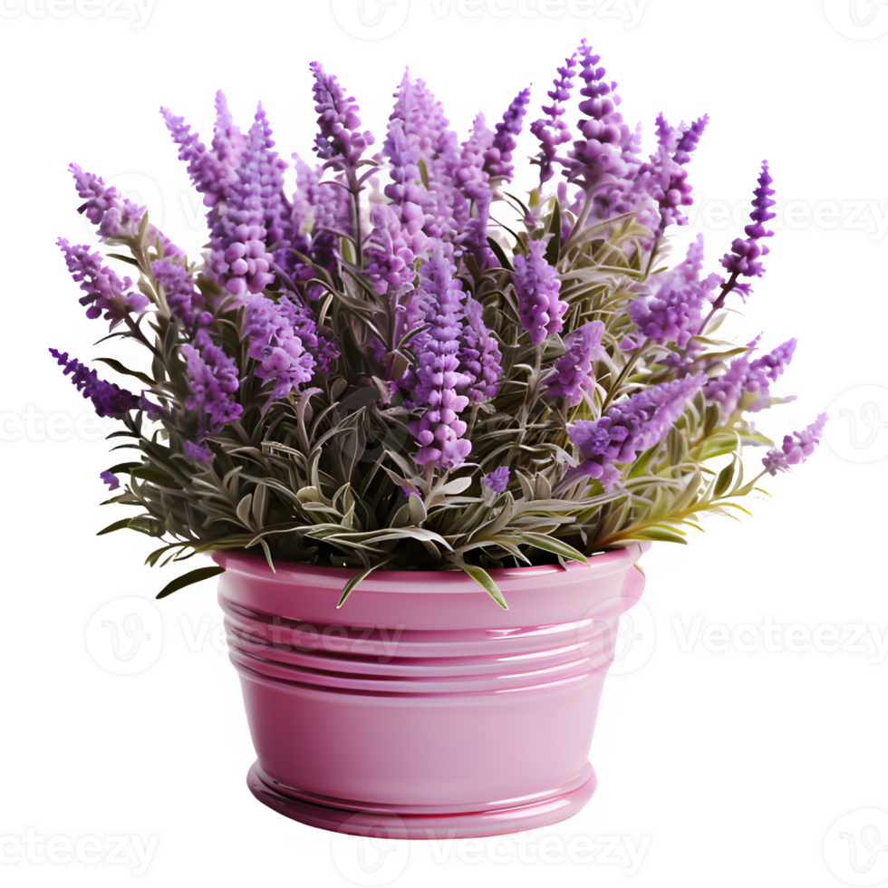 lavender flowers png ,Lavender flower home decoration isolated on transparent background ,generative ai