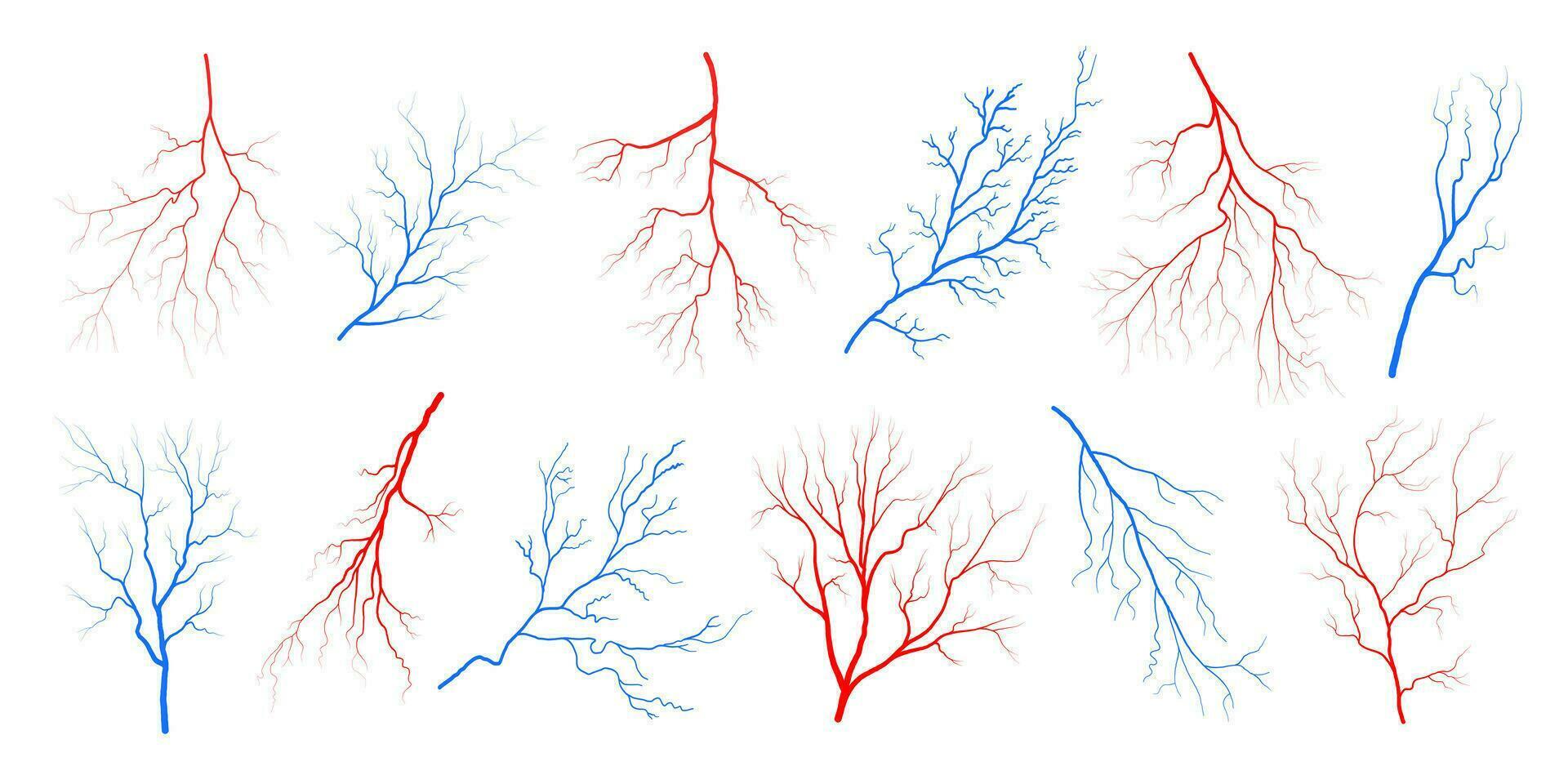 Human eye blood veins vessels silhouettes vector illustration set isolated on white background.