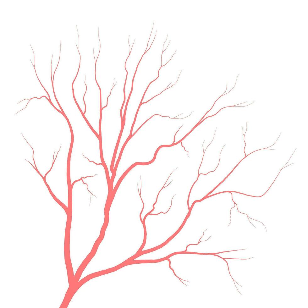 humano ojo sangre las venas vasos siluetas vector ilustración aislado en blanco antecedentes.