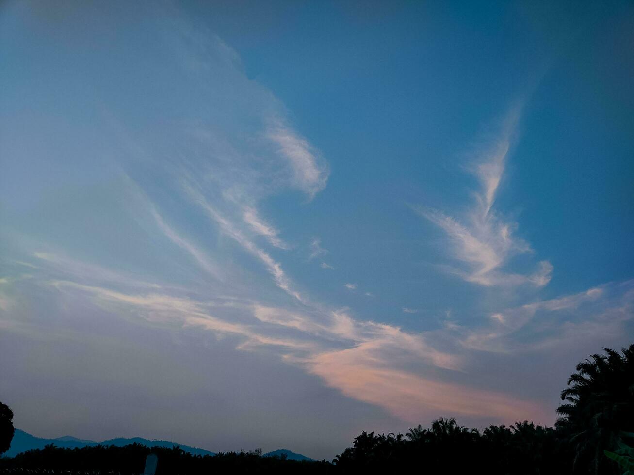 beautiful view of the sky at dusk photo