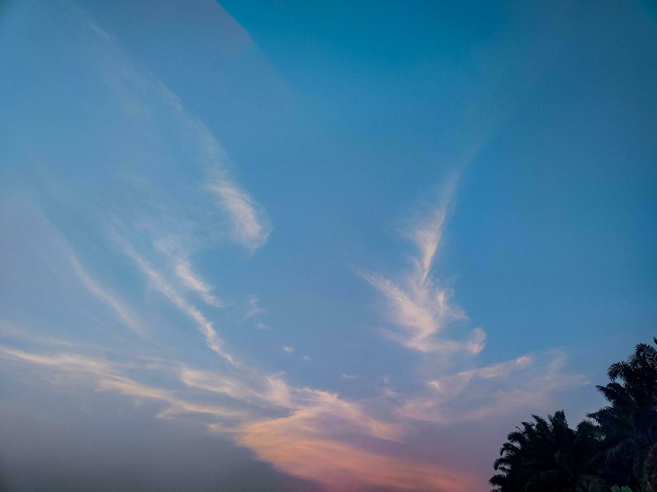 beautiful view of the sky at dusk photo