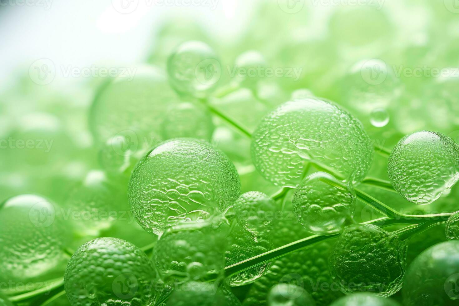 Macro photography of microscopic algae structures isolated on a white background photo