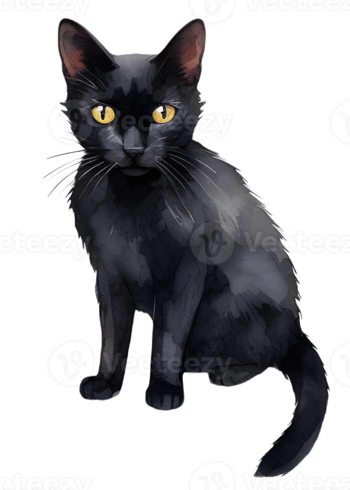 Black cats are often seen as unlucky, but they are actually just as lucky as any other cat. AI Generated png