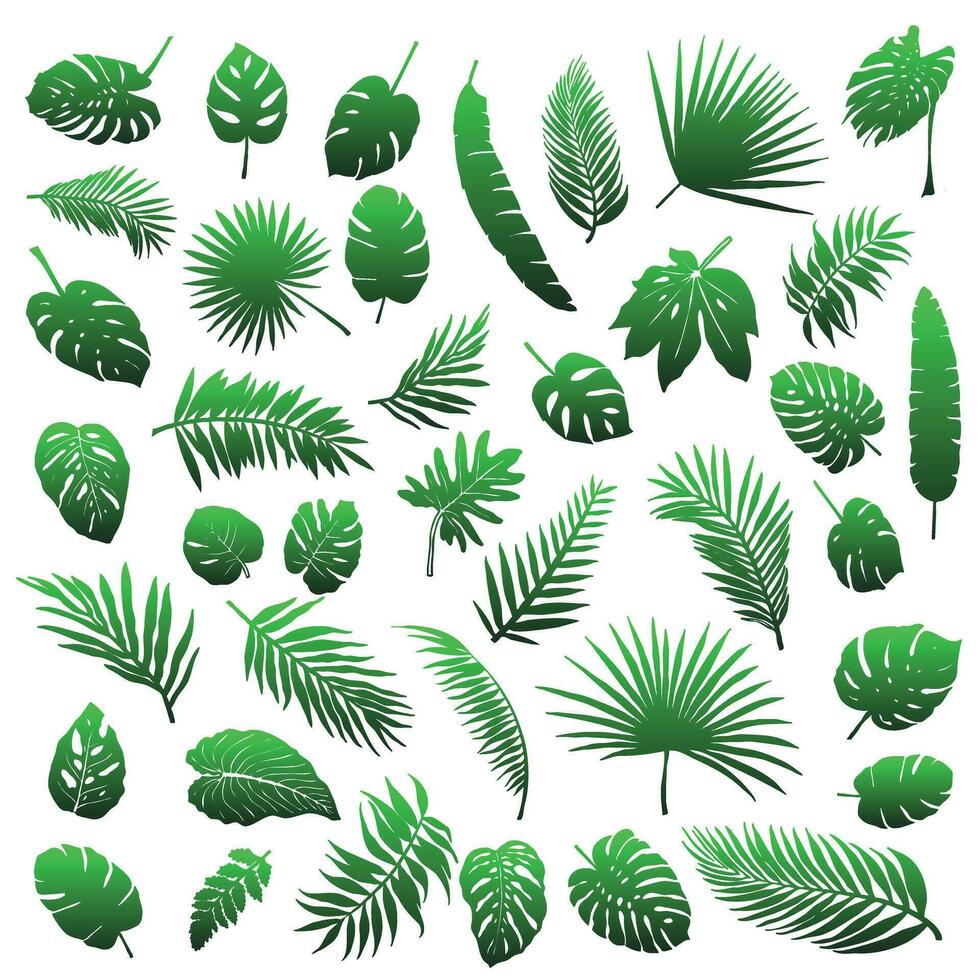 un grande conjunto de palma hojas y otro tropical hojas vector