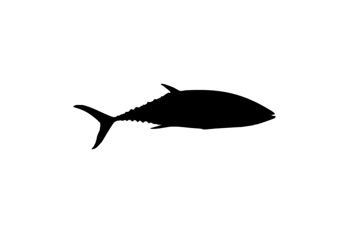 Flat Style Silhouette of the Tuna Fish, can use for Logo Type, Art Illustration, Pictogram, Website or Graphic Design Element. Vector Illustration