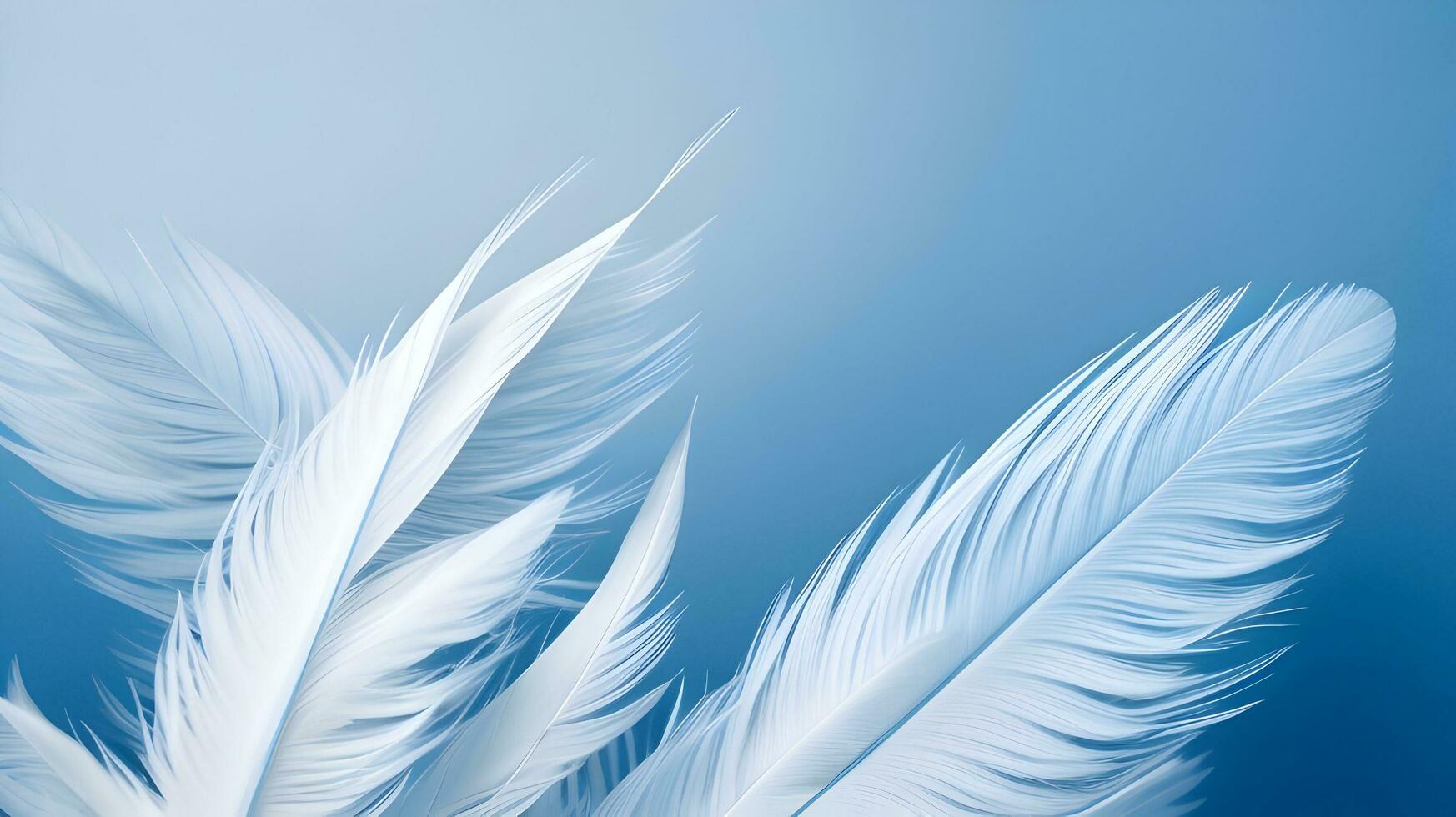 abstract soft focus background with a gentle blue color palette, emphasizing the softness and delicacy of bird feathers photo