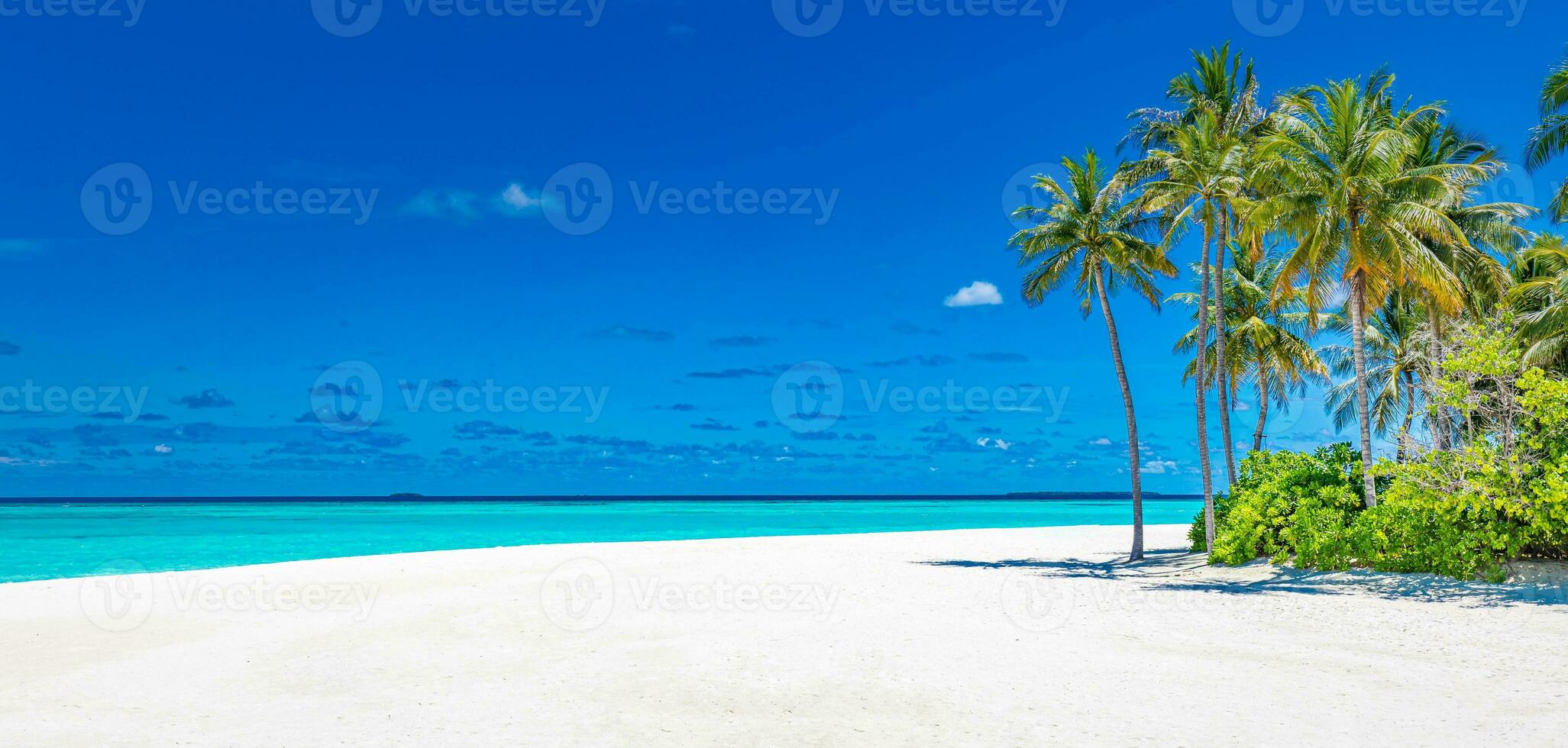 Fantastic tropical beach view. Summer landscape for exotic travel and vacation beach view. Tranquil scenery, relaxing beach, tropical landscape design with palm trees, blue sea and luxury mood, vibes photo