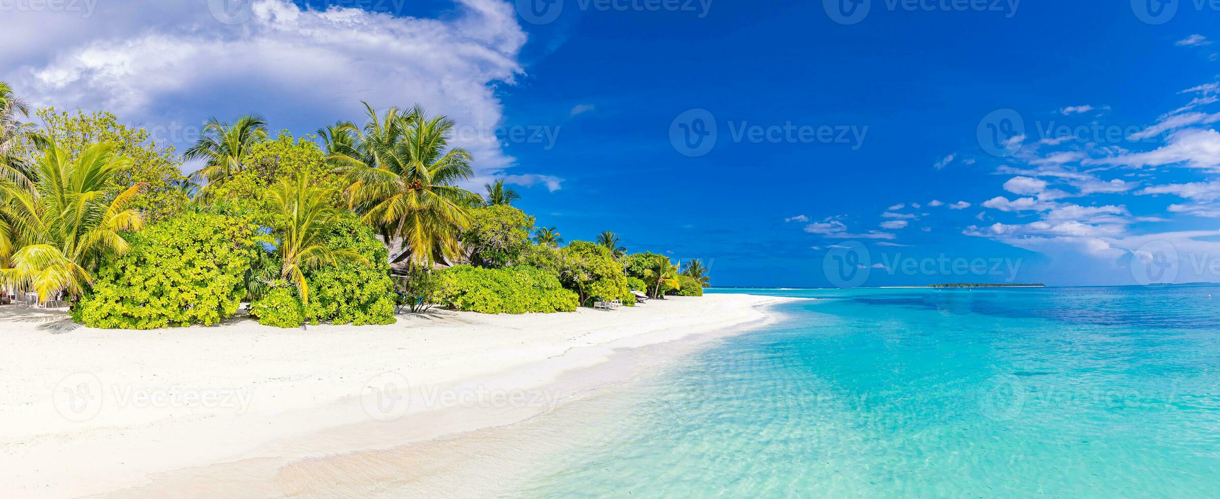 Beautiful tropical beach banner. White sand and coco palms travel tourism wide panorama background concept. Amazing beach landscape. Boost up color process. Luxury island resort vacation or holiday photo