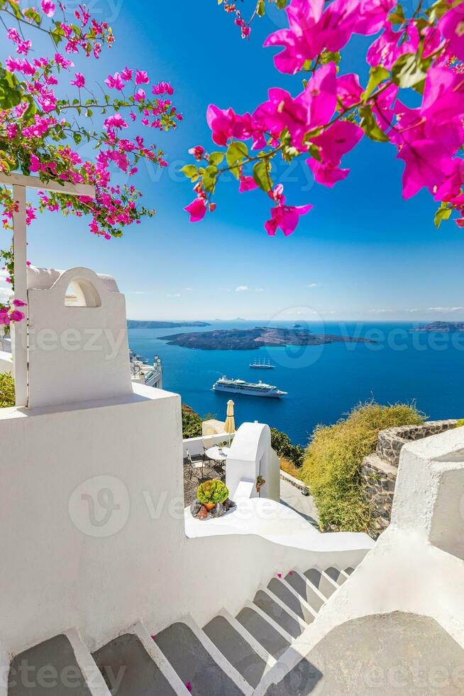 Amazing sunset landscape with famous travel destination. Luxury travel view, flowers over white architecture in Santorini, Oia under colorful sky. Fantastic vacation banner for postcard or wallpaper. photo