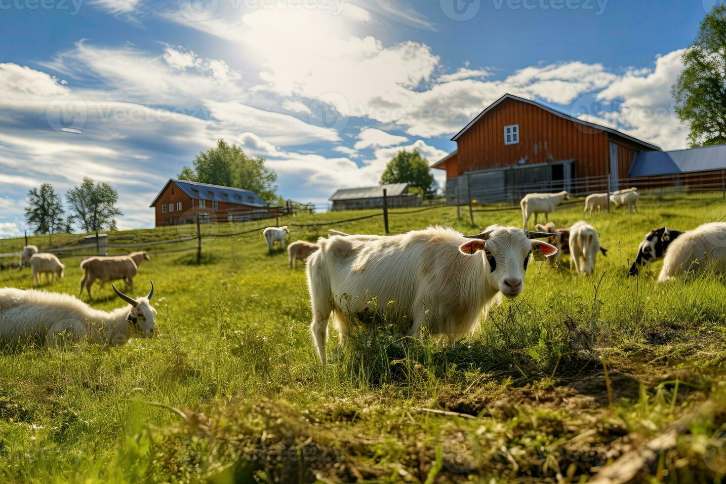 Portrait goat in the farm with light exposure AI Generative photo