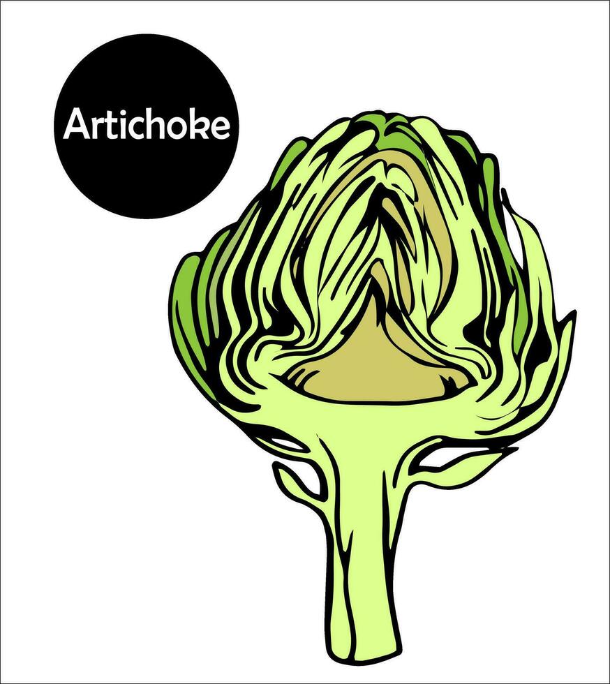 One edible bud with artichoke petals is cut in half. useful plant for healthy diet. vector doodle illustration.