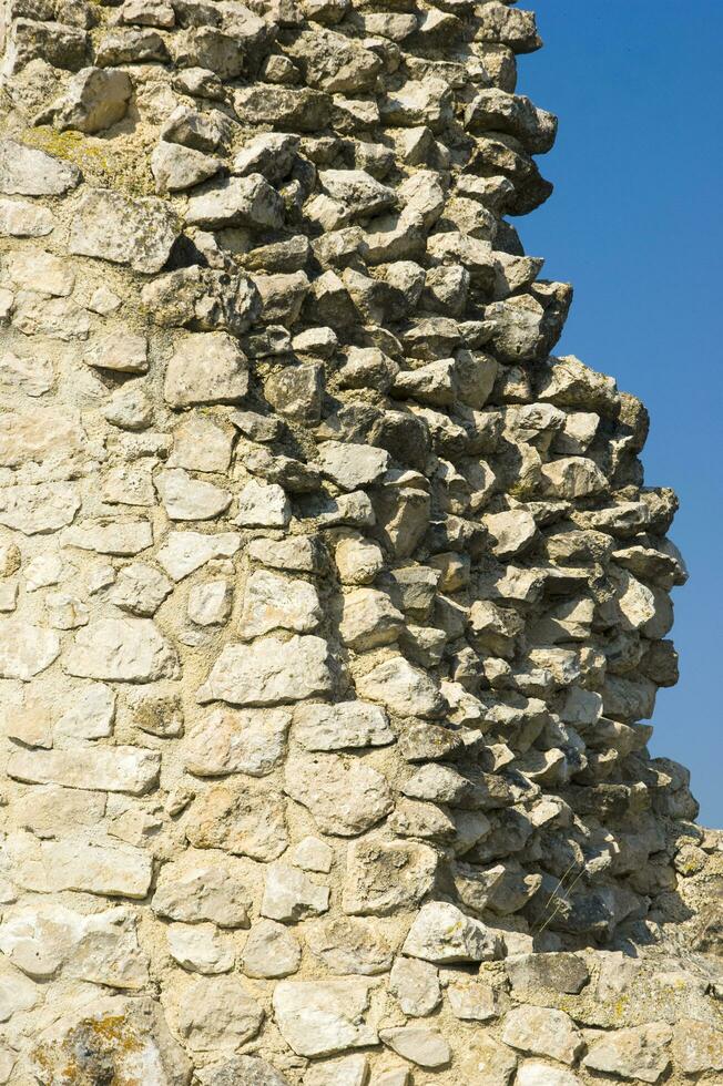 a stone wall with a large bird on it photo