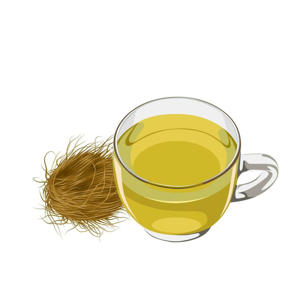 Vector illustration, corn silk tea in glass cup, herbal drink for kidney stones, isolated on white background.
