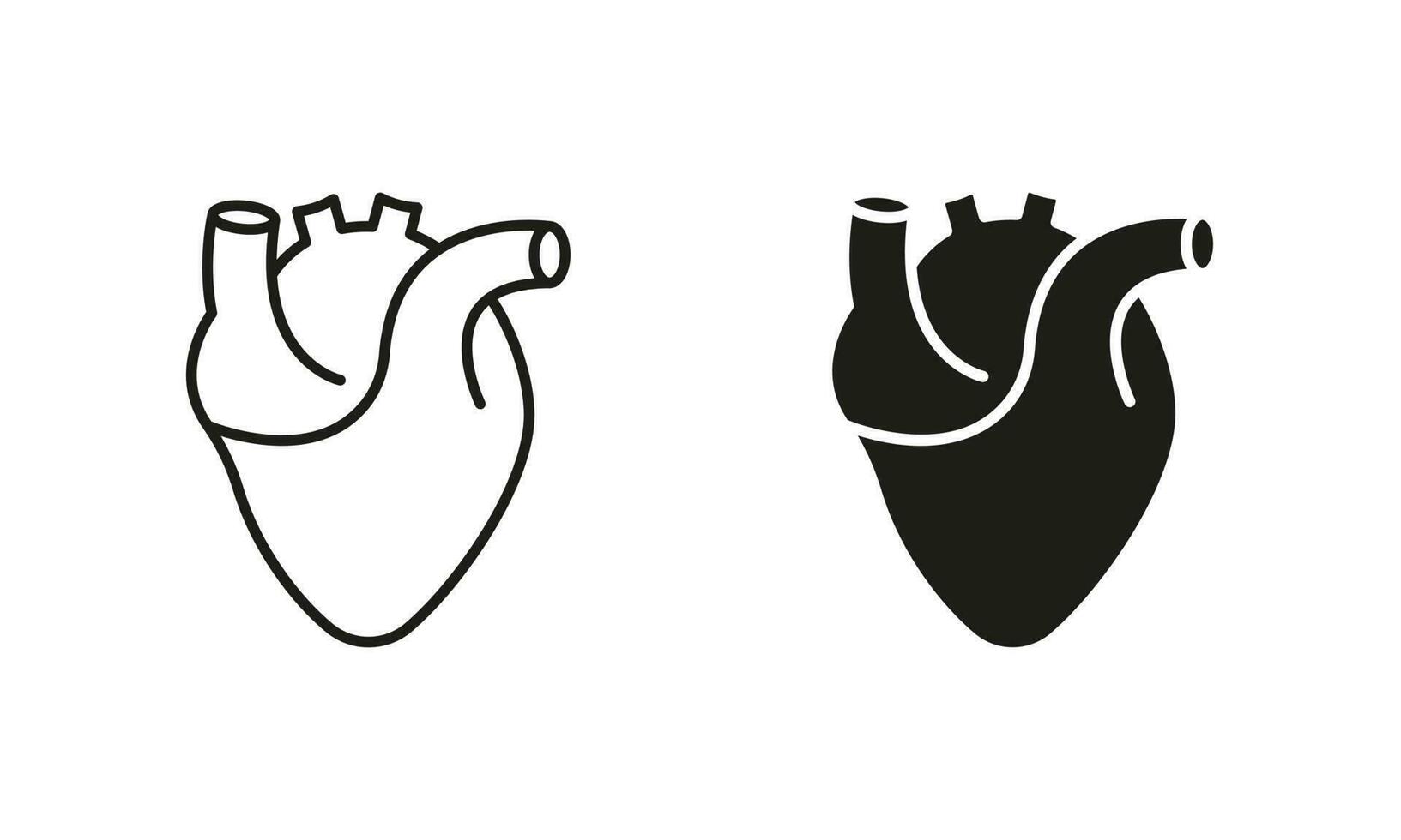 médico cardiología pictograma. sano cardiovascular Organo símbolo colección en blanco antecedentes. humano corazón, cardíaco músculo línea y silueta icono colocar. aislado vector ilustración.