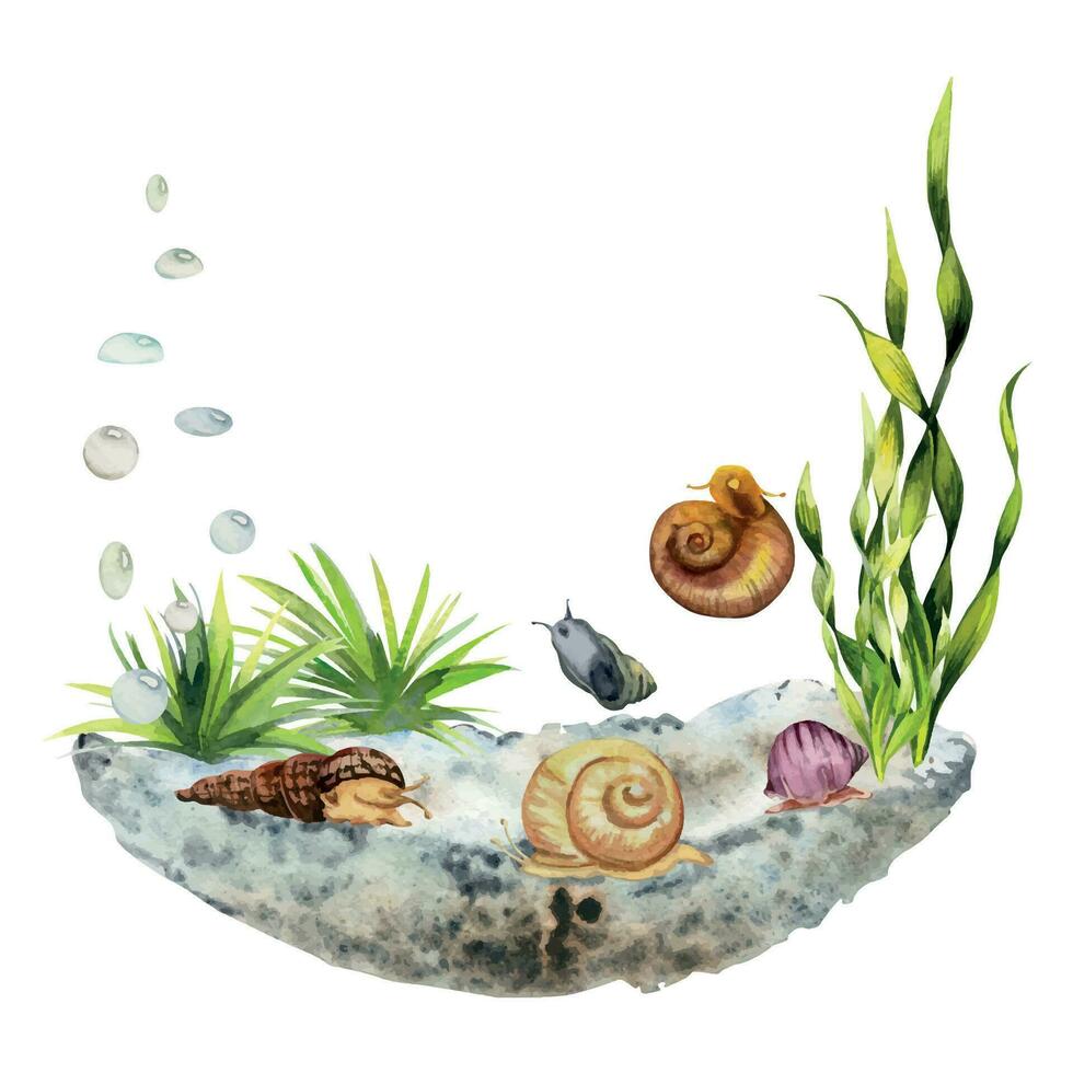 Hand drawn watercolor aquarium fish, algae, snails shells and sealife. Marine exotic underwater illustration. Isolated on white background. Design for shops, brochure, print, card, wall art, textile. vector