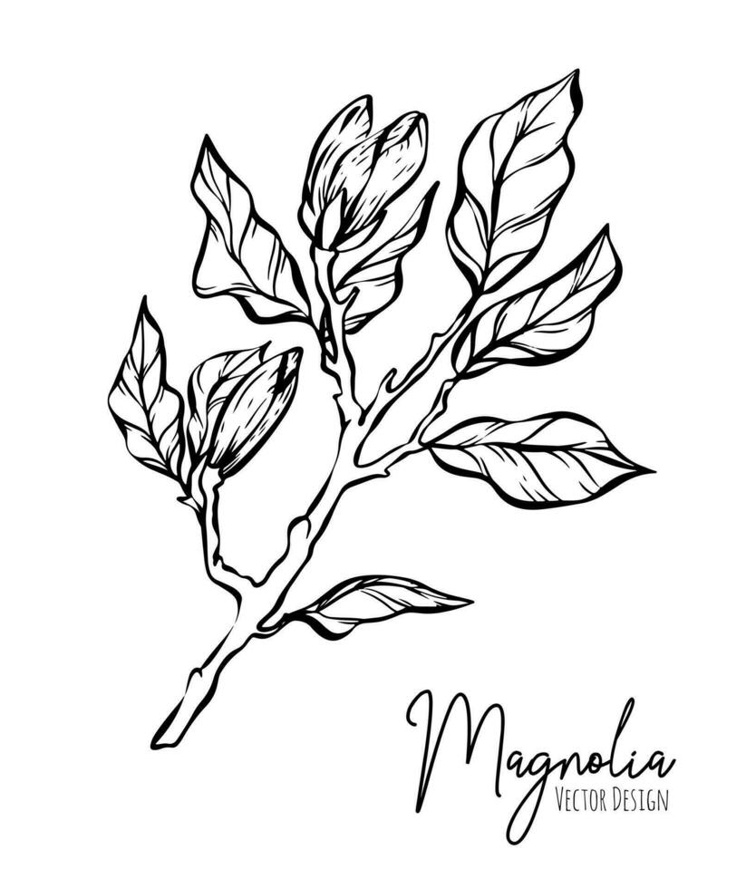 magnolia flor línea ilustración colocar. dibujado a mano contorno contorno de Boda hierba, elegante hojas para invitación salvar el fecha tarjeta. botánico de moda verdor vector colección para web, imprimir, carteles