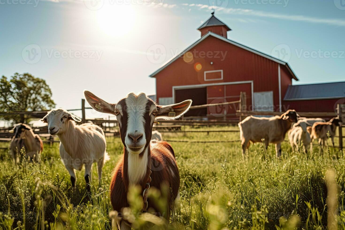 Portrait goat in the farm with light exposure AI Generative photo