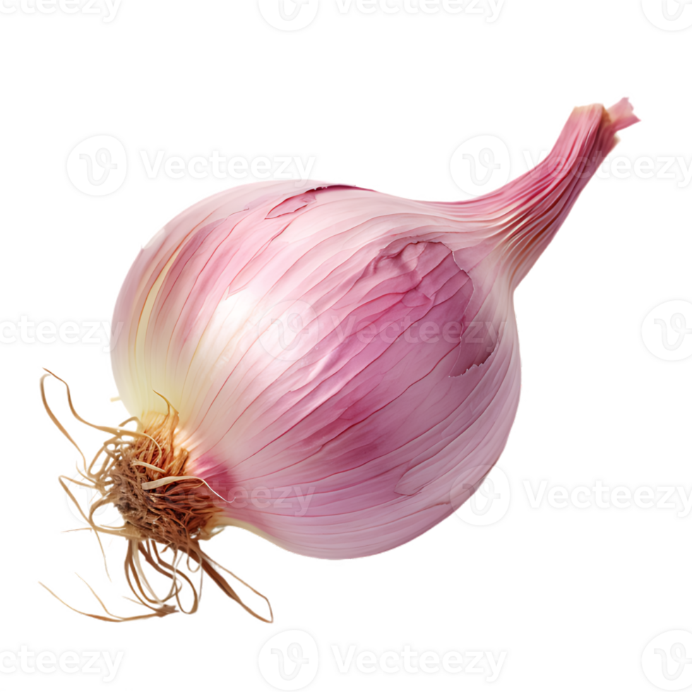 isolated fresh shallot, ai generated 30751110 PNG