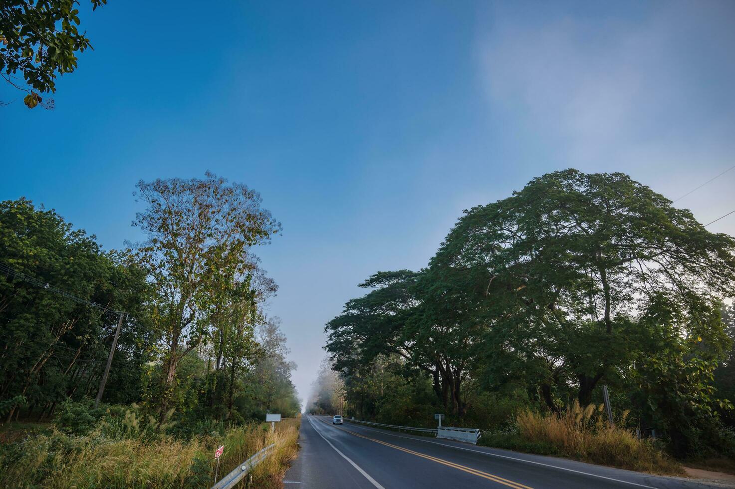 Beautiful road with morning fog in the rural of nan city thailand. photo