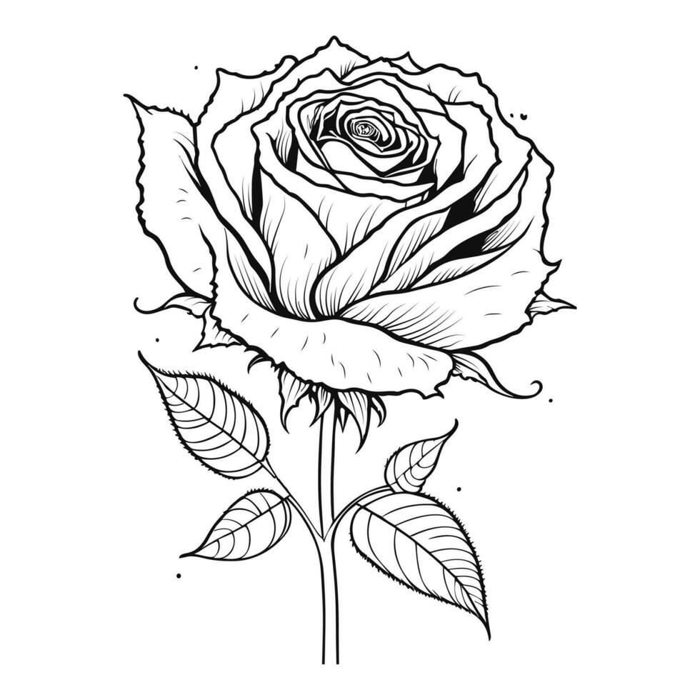 Free vector line art rose flower