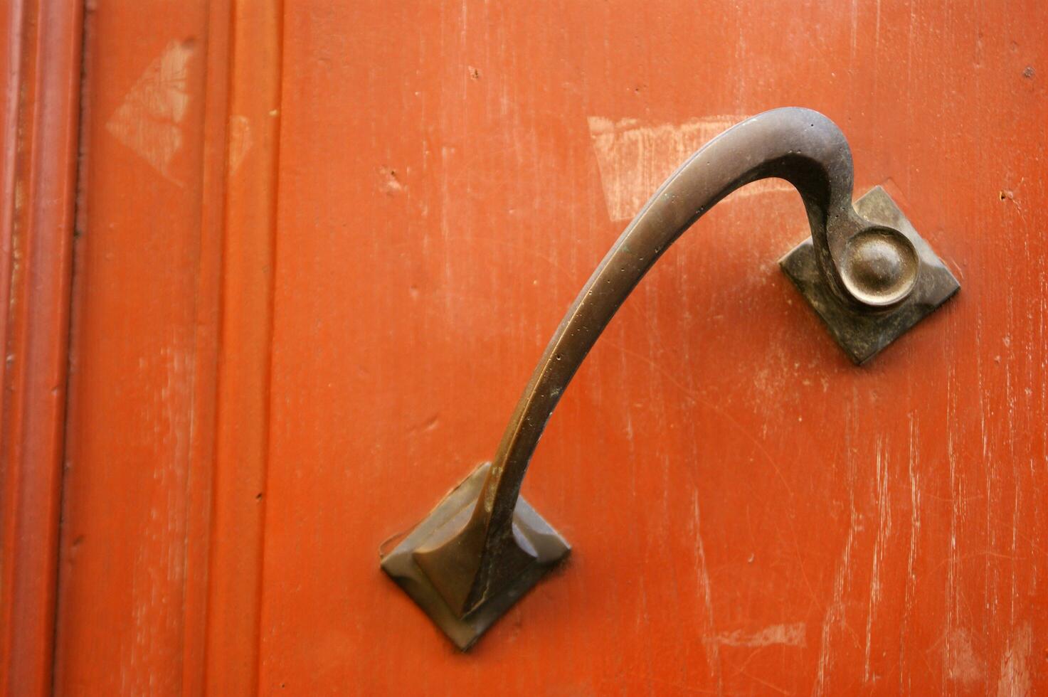 a lion head on a door handle photo