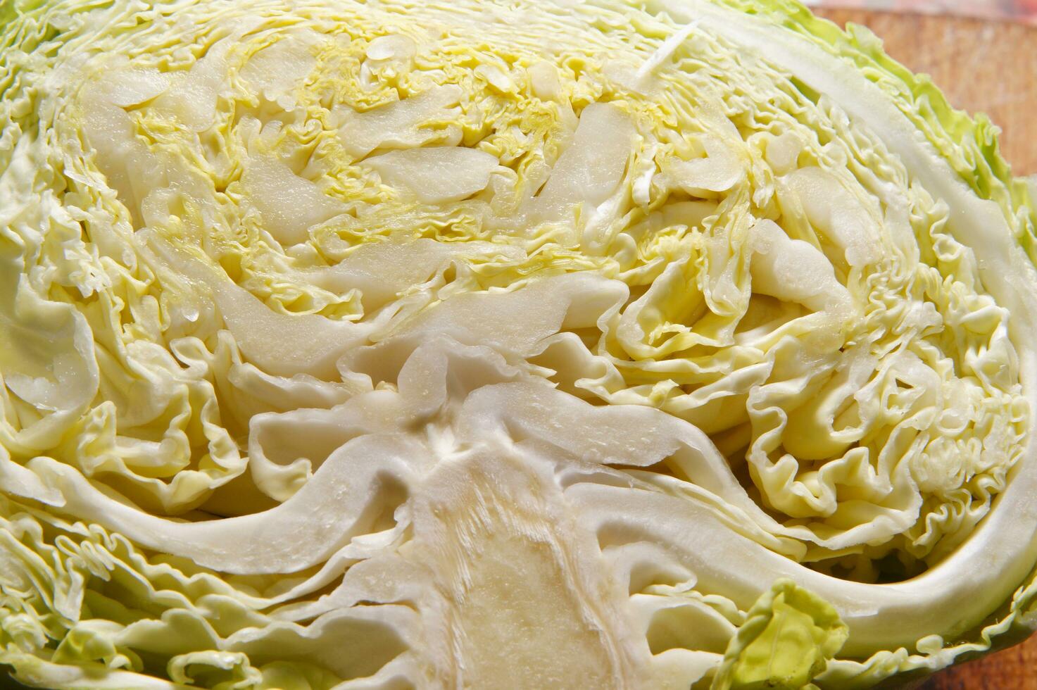 a close up of a cabbage with a knife photo