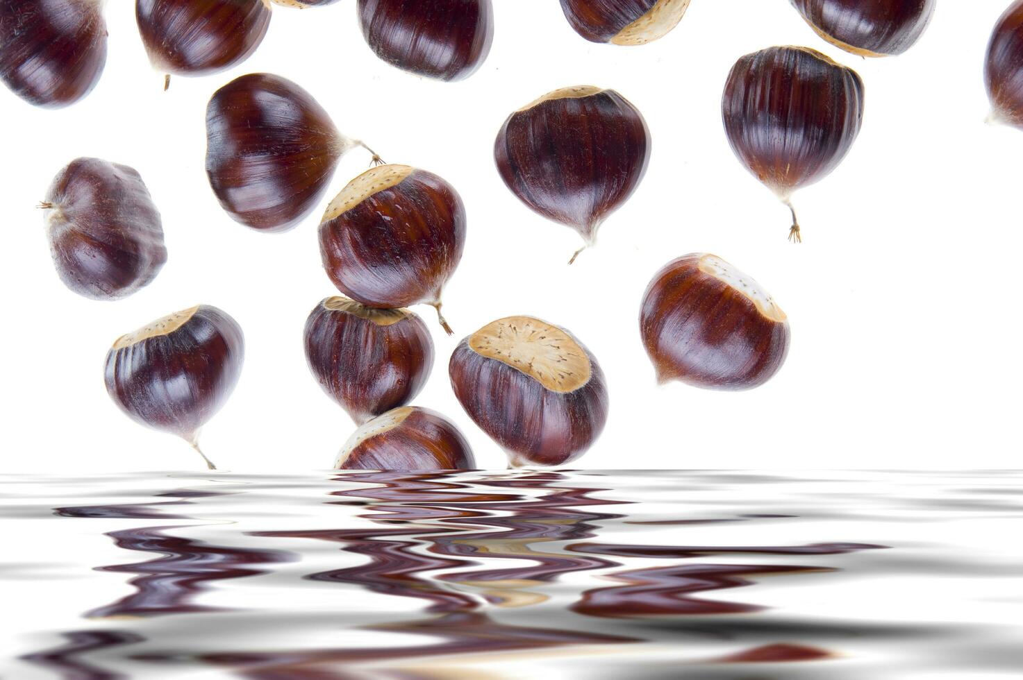 un grupo de castañas flotante en agua foto