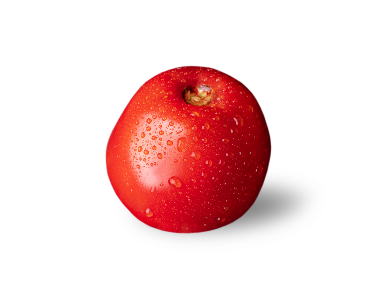 Homemade Tomato isolated. Tomato on white or invisible png background. Tomat side view. Tomato with drops