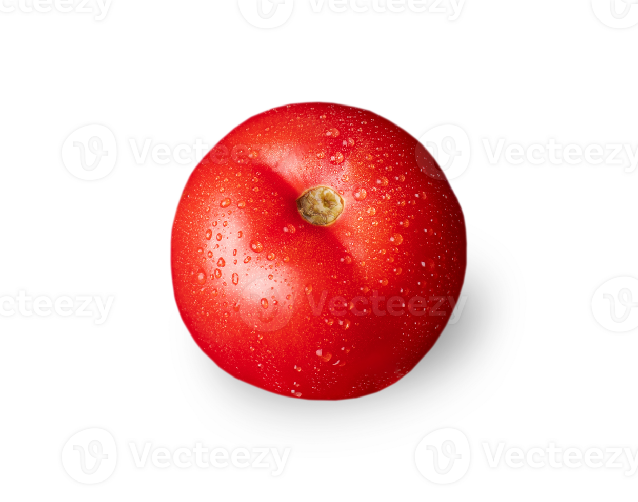 Tomato isolated. Tomato on white or invisible png background. Tomato with drops.