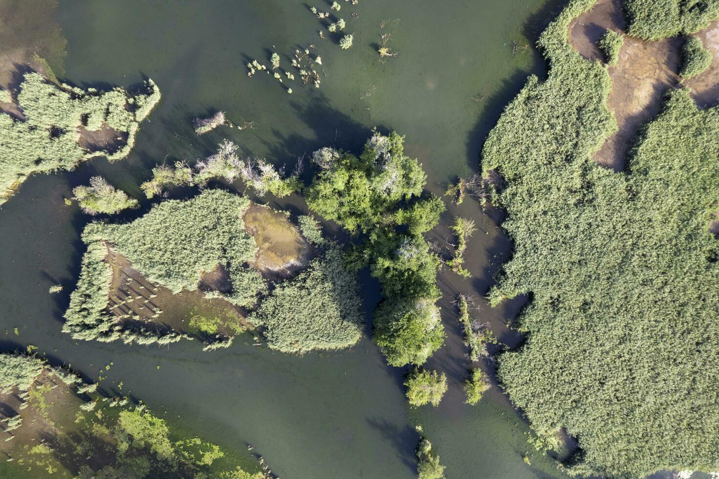Particular aerial view of the lake of Porta Tuscany Italy photo