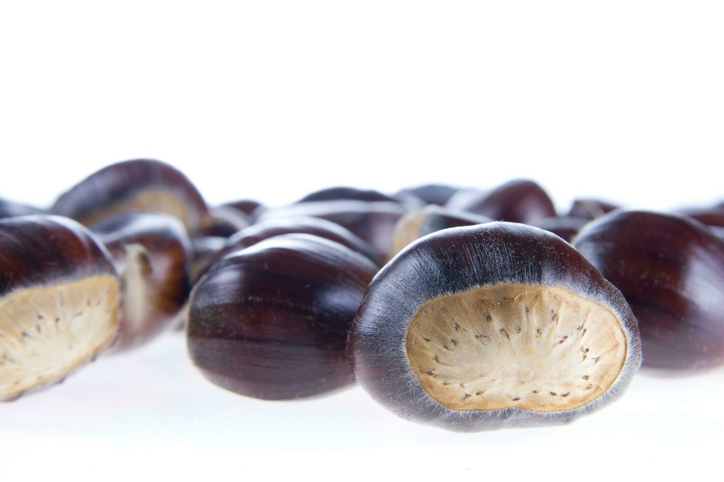 a group of chestnuts on a white background photo