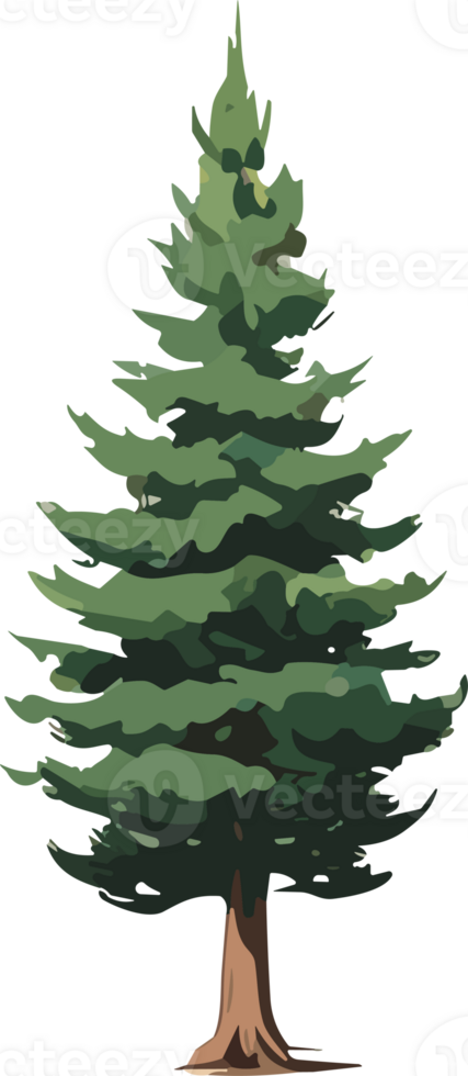 Pine Forest Enjoying Nature AI Generative png