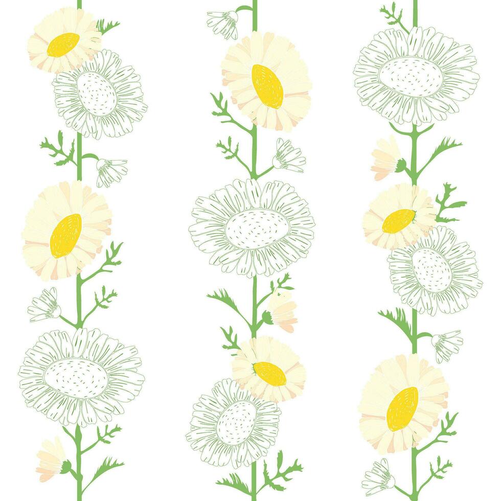 Seamless floral pattern of white daisies and green leaves vector