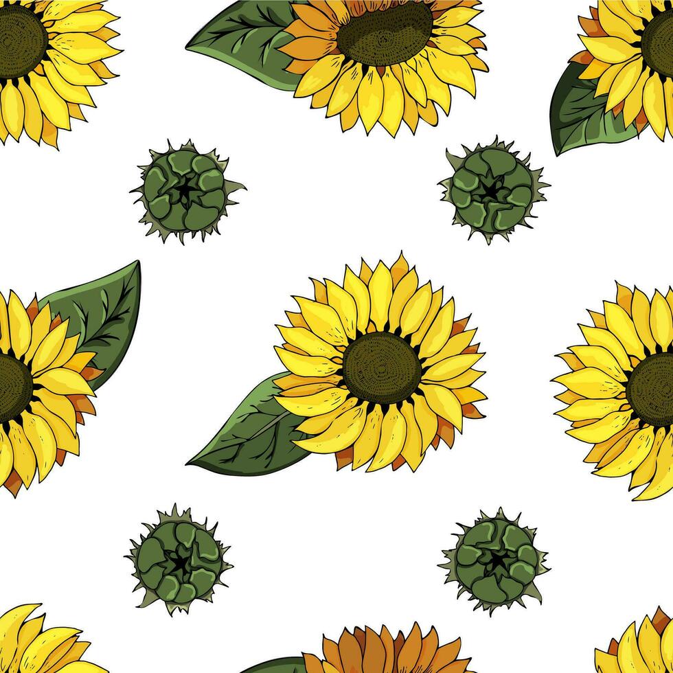 Seamless vector pattern with yellow sunflowers. Beautiful pattern for your design, greeting cards, wedding announcements, paper