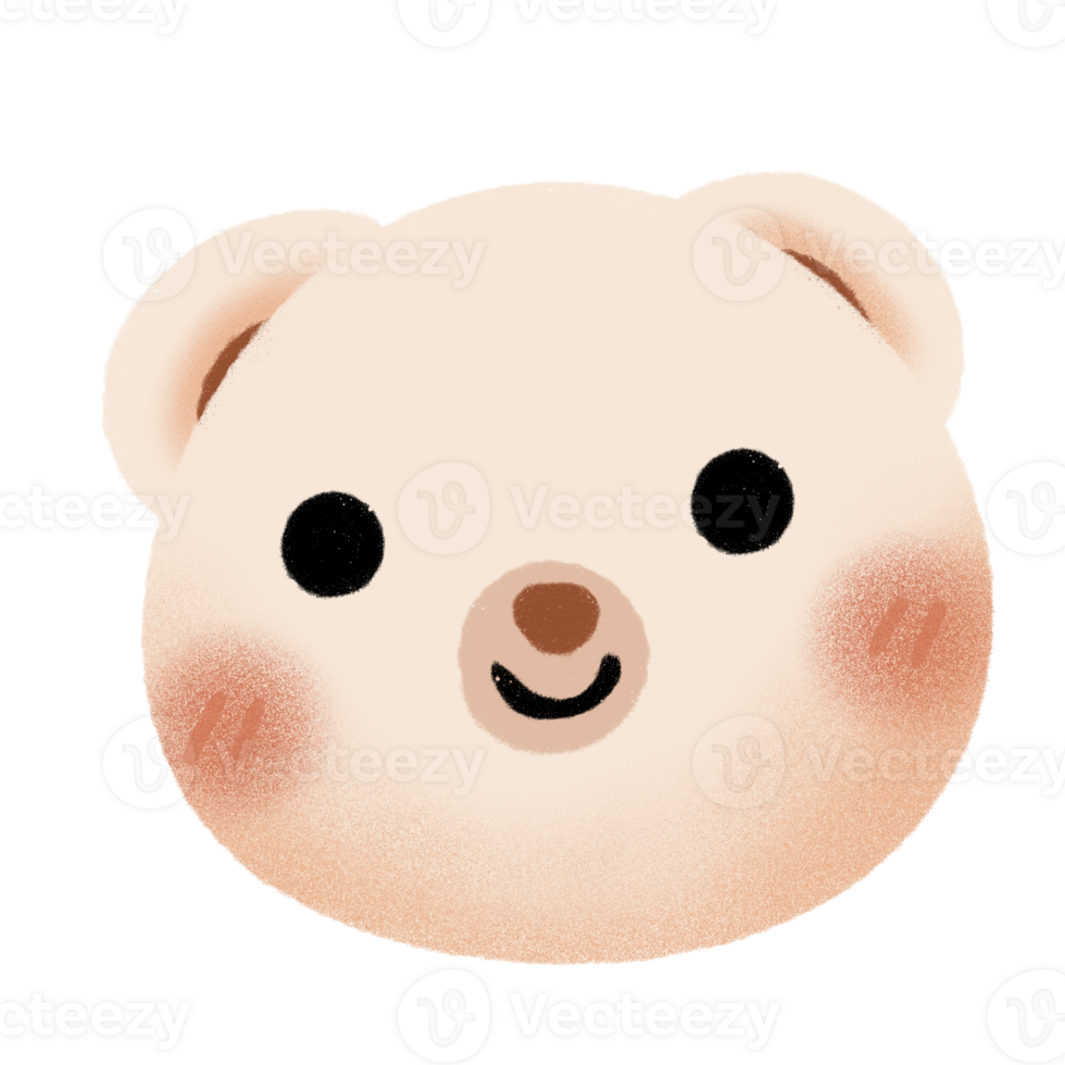 cute bear kawaii png