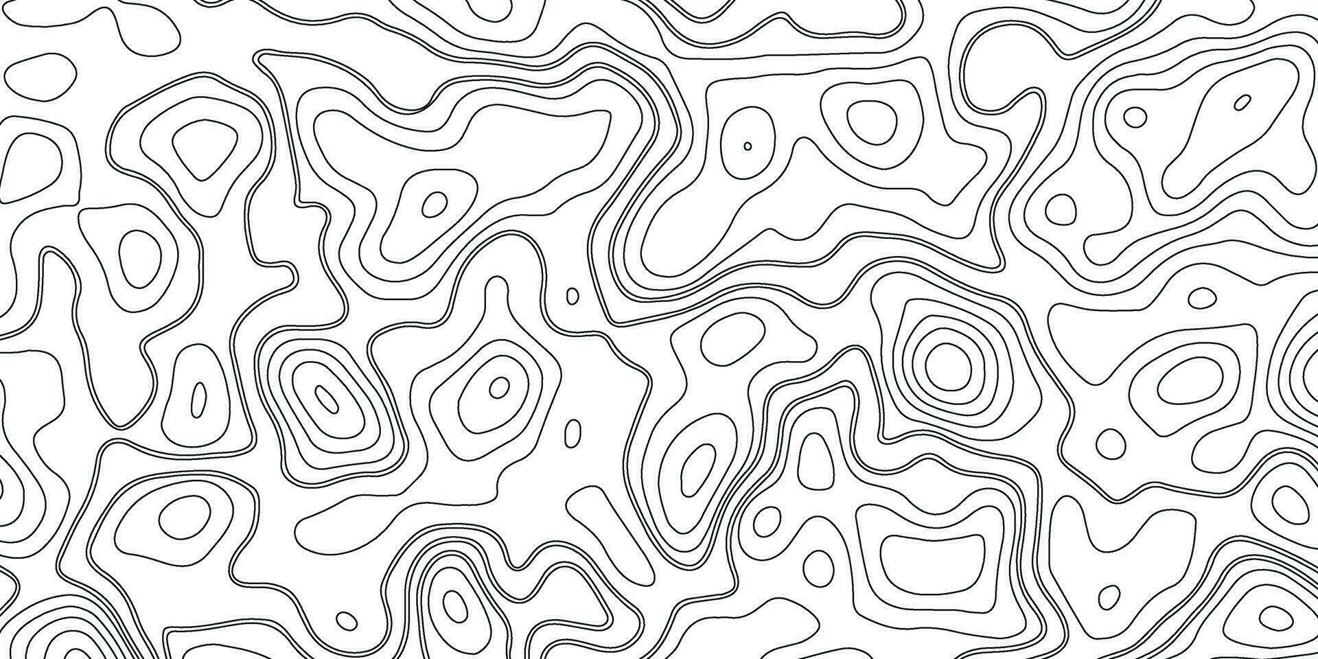 Topographic Map. Topographic Background. Topography Map Line. Black and White Pattern of Lines and Curves vector