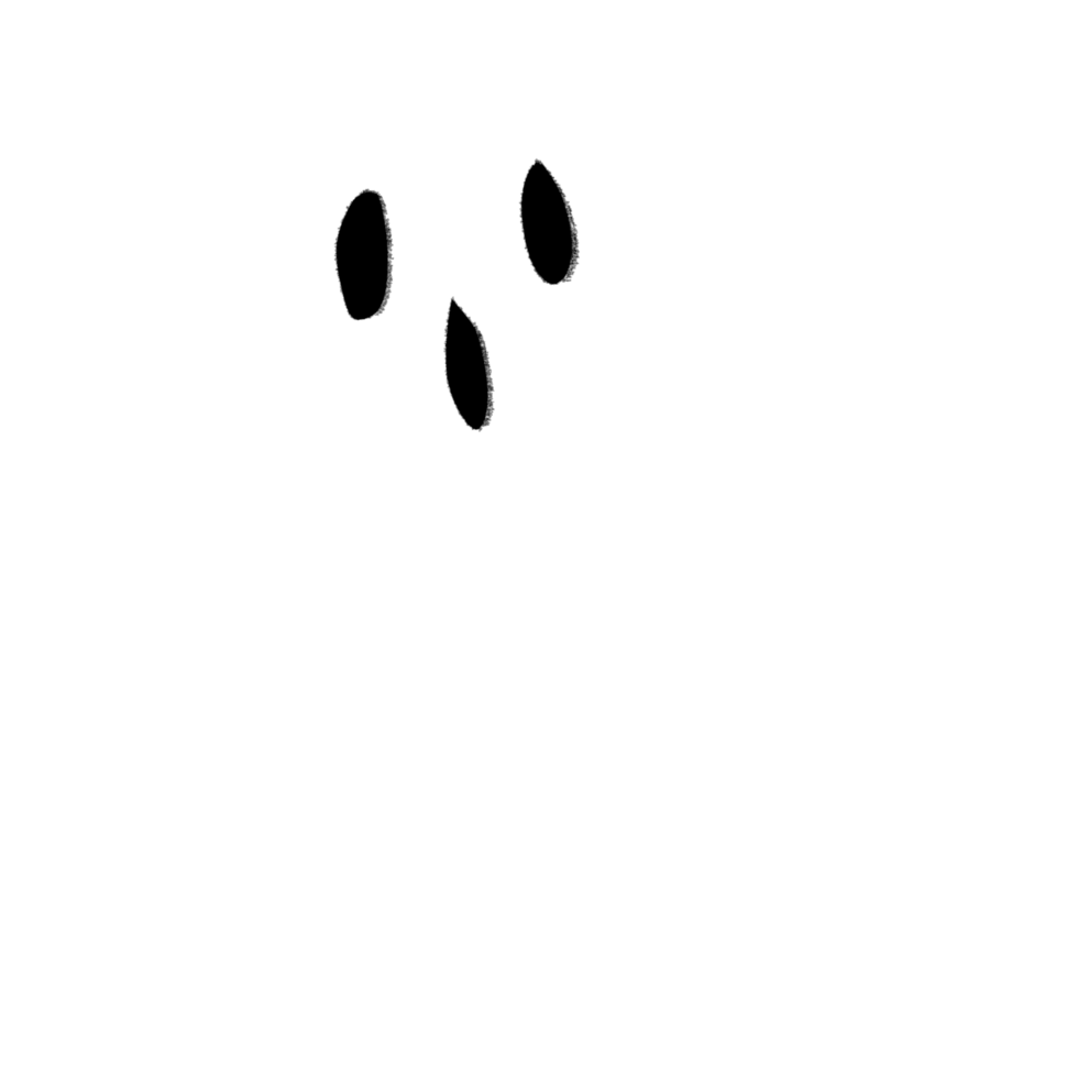 Ghost Halloween Illustration png