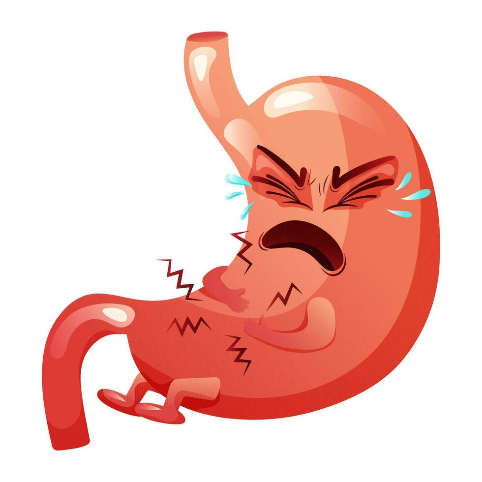 Crying human stomach cartoon character vector