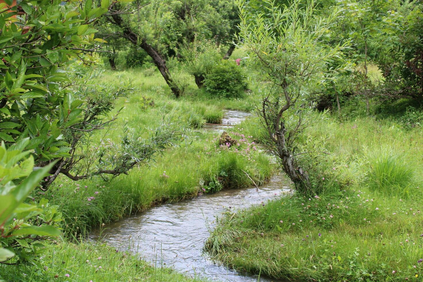 Scenic view of the natural beauty of Tao Butt, Neelum Valley, Kashmir.  Tao Butt is famous for its lush green trees and natural beauty. photo