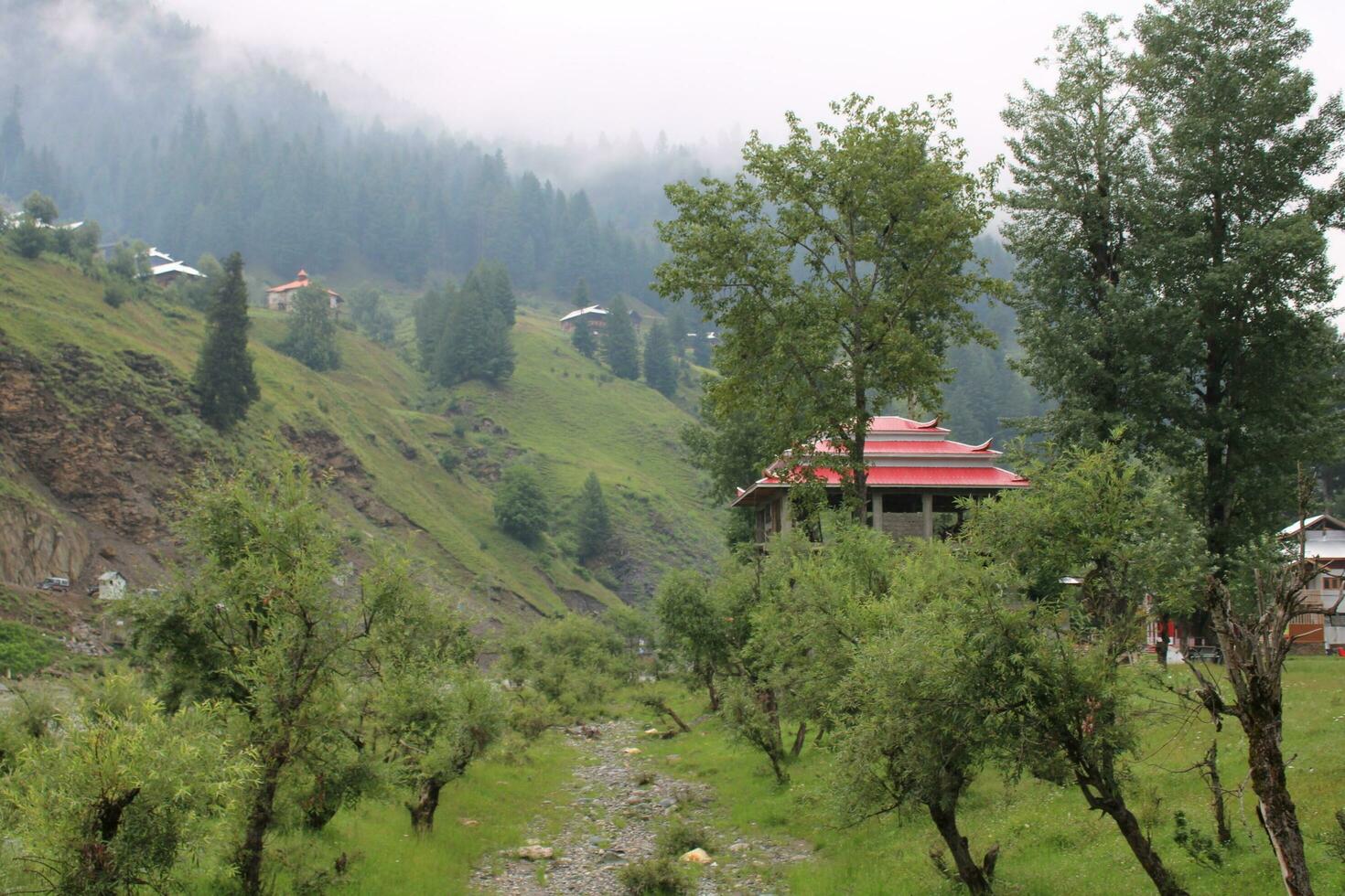 Scenic view of the natural beauty of Tao Butt, Neelum Valley, Kashmir.  Tao Butt is famous for its lush green trees and natural beauty. photo