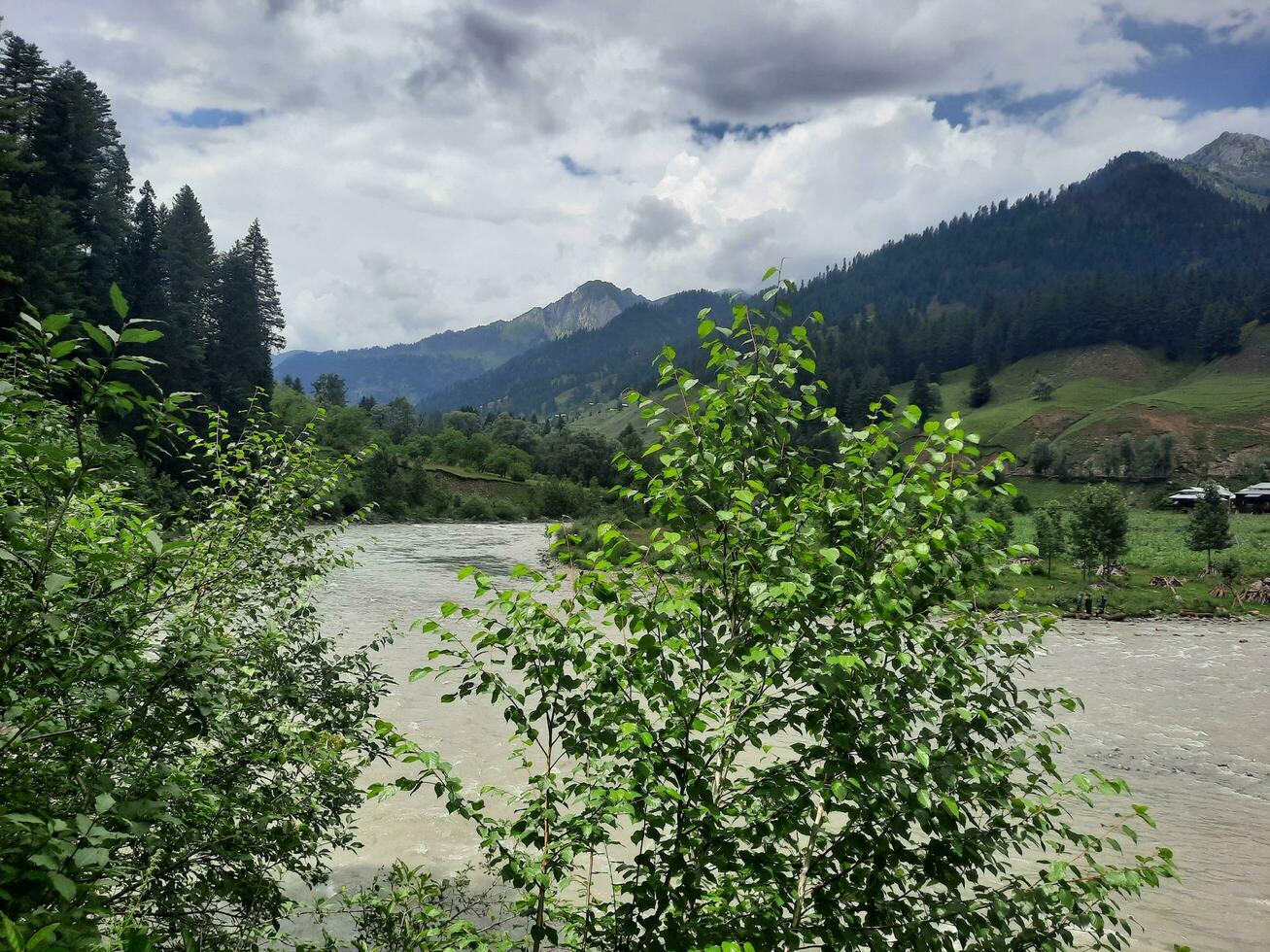 escénico ver de el natural belleza de tao culata, neelum valle, cachemir. tao extremo es famoso para sus lozano verde arboles y natural belleza. foto