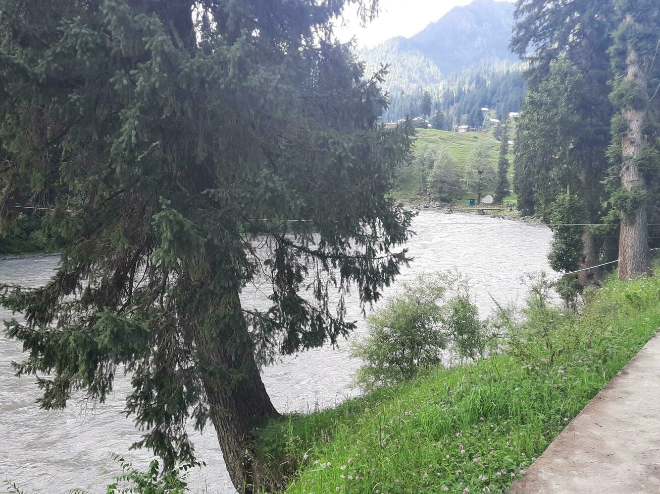 escénico ver de el natural belleza de tao culata, neelum valle, cachemir. tao extremo es famoso para sus lozano verde arboles y natural belleza. foto